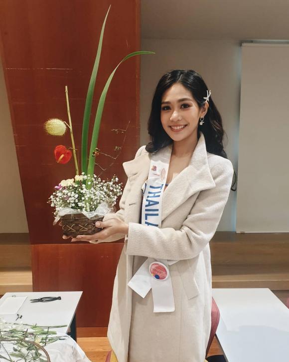 Hoa hậu Quốc tế 2019, sao Việt
