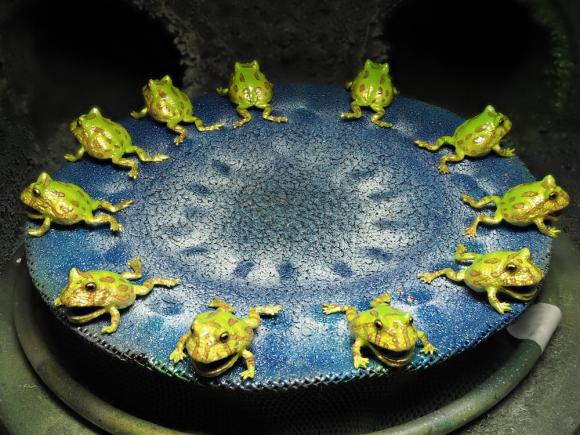 Bông tai ếch, bông tai đẹp, bông tai ếch đang làm mê mẩn giới trẻ