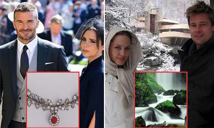 Angelina Jolie nổi giận vì Brad Pitt,Brad Pitt,Alia Shawkat,Angelina Jolie,sao Hollywood