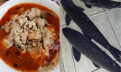 chiên cá, rán cá, món cá, dạy nấu ăn