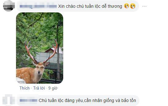 yêu xa, bạn gái cắm sừng, gối kê đầu giường