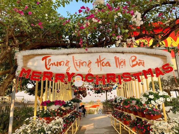 Thung lũng hoa Nội Bài, Điểm du lịch gần Hà Nội, thung lũng hoa 4 mùa