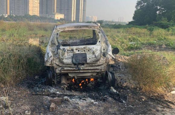 đốt xe, Hàn Quốc, giết người