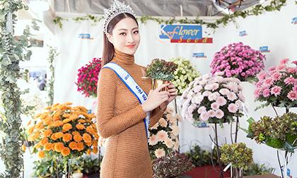 hoa hậu Lương Thuỳ Linh, Miss World 2013 Megan Young, Miss World Việt Nam 2019, Hoa hậu Thế giới Việt Nam 2019, sao Việt