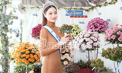 Hoa hậu Lương Thuỳ Linh, Miss World Việt Nam 2019, Hoa hậu Thế giới Việt Nam 2019, sao Việt
