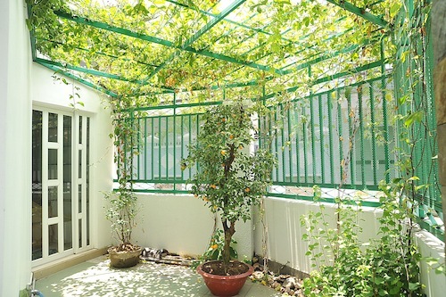 diễn viên Nhật Cường, biệt thự của Nhật Cường, sao Việt