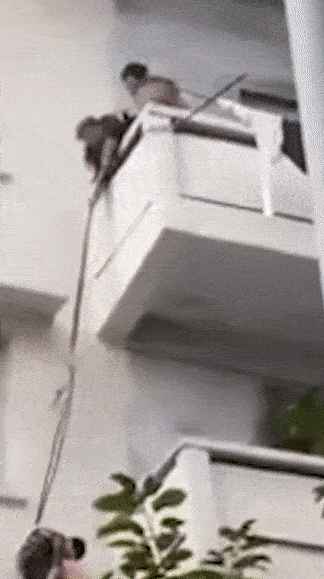 ba-tha-chau-cuu-meo-1-ngoisao.vn-w324-h579 0 Bà thả cháu cứu mèo, tin xã hội, Hành động nguy hiểm