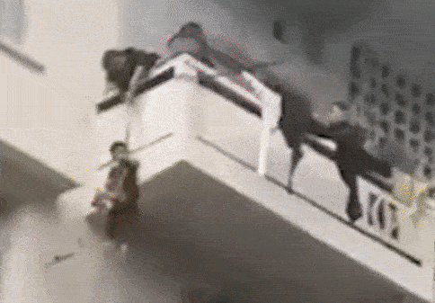 ba-tha-chau-cuu-meo-2-ngoisao.vn-w484-h337 0 Bà thả cháu cứu mèo, tin xã hội, Hành động nguy hiểm