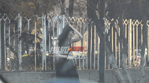 
con gái Vương Phi, Lý Yên, sao Hoa ngữ