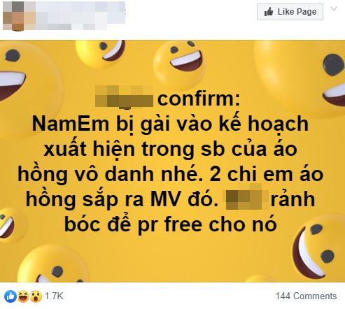hoa khôi Nam Em, sao Việt