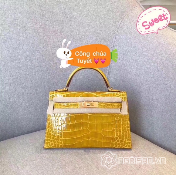 Hoa hậu Hạ My, sao việt