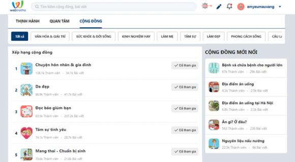 Webtretho, Mạng xã hội, Phụ nữ việt nam