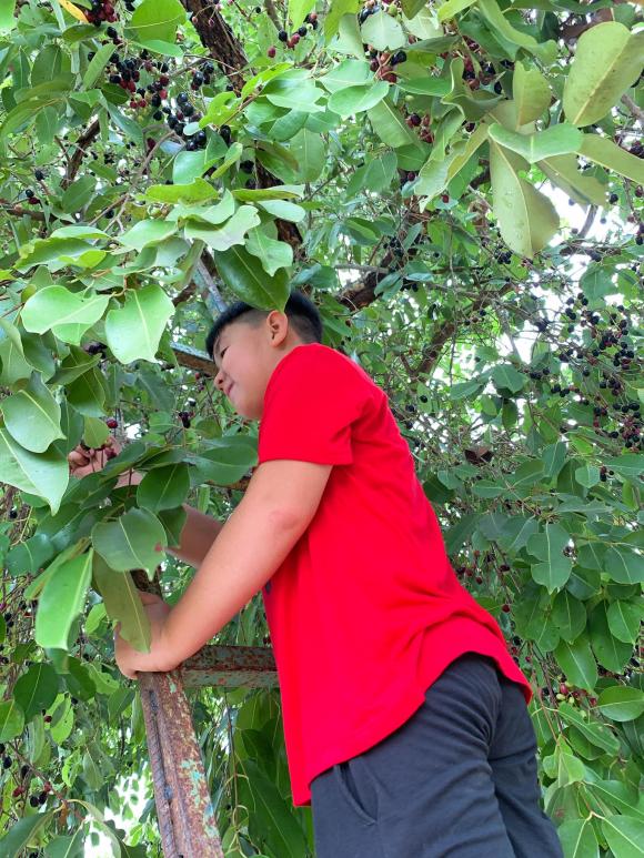 diễn viên Lê Phương, trung kiên, sao Việt