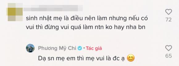 Ca sĩ phương mỹ chi, sao Việt