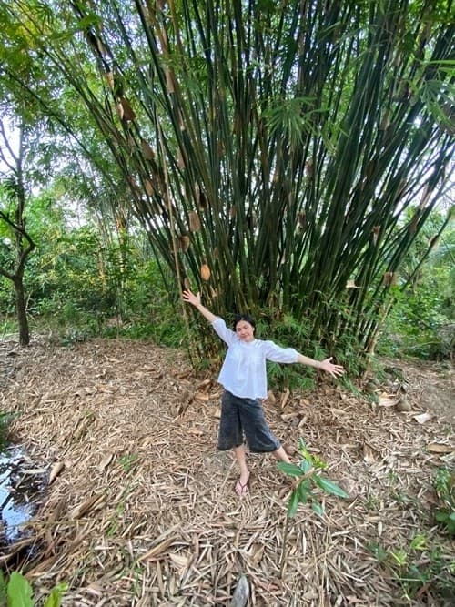 Vân Trang, nông trại của sao, sao Việt