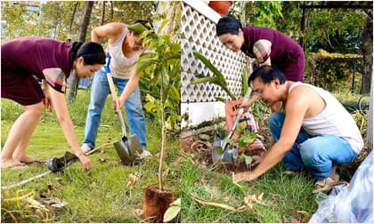 Á hậu trịnh kim chi,diễn viên trịnh kim chi,sao việt