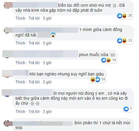 nhà đẹp, mẫu nhà cấp bốn đẹp, thiết kế nhà cấp bốn 