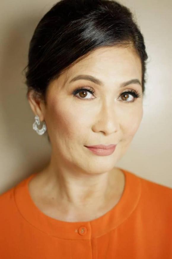 nữ diễn viên tăng thanh hà,doanh nhân phillip nguyễn, doanh nhân Louis Nguyễn, sao Việt