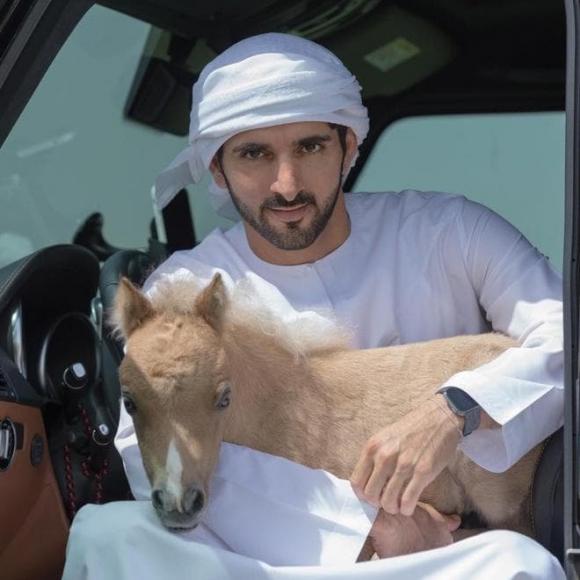 Thái tử Dubai,vẻ ngoài đẹp trai của Thái tử Dubai,Hamdan bin Mohammed Al Maktoum
