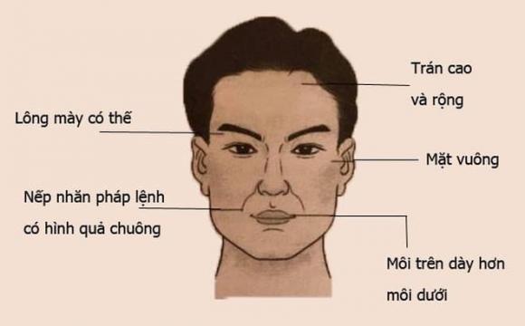 Tướng mũi, Tướng đàn ông, Nhân tướng học