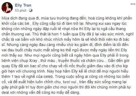 Elly Trần, Elly Trần ngã cầu thang, sao việt 