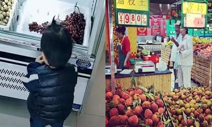 dạy con, nuôi dạy con, phương pháp giáo dục con