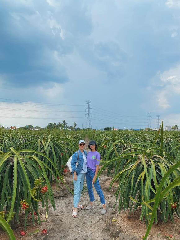 Thân thúy hà,hà tăng,sao việt