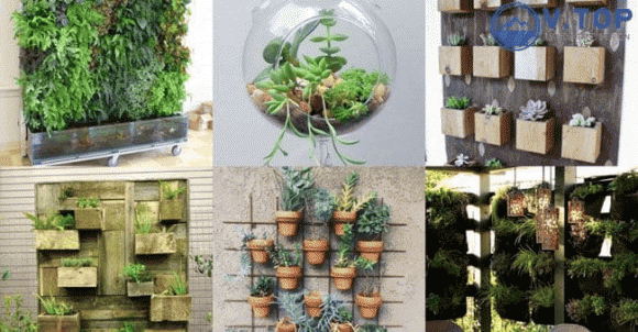 vtop-116-2-ngoisaovn-w650-h339 3 Sân vườn VTOP, Vườn đứng, Không gian nhà