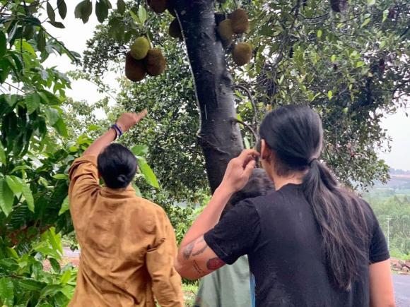 sao Việt, tin sao Việt, tin sao Việt tháng 6, tin sao Việt mới nhất