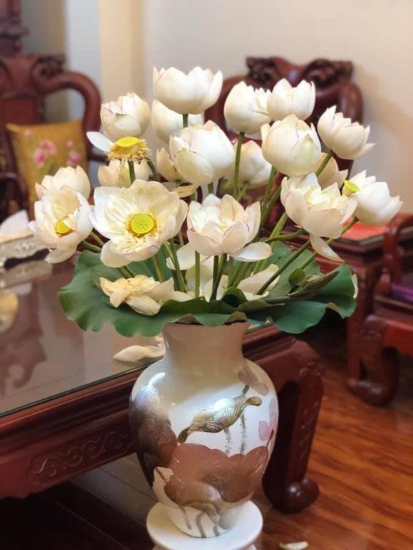 mua sen, các chọn sen, điều cần biết khi chọn hoa sen