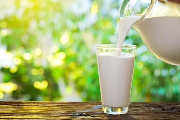 uống sữa, lợi ích của sữa, sự khác biệt khi uống sữa