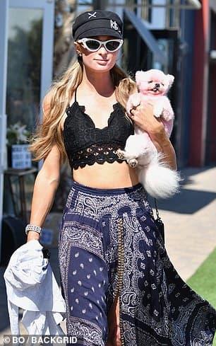 Paris Hilton, sao Hollywood, Covid-19