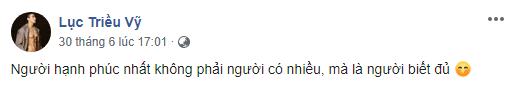 người mẫu Lục Triều Vỹ, sao Việt