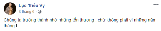 người mẫu Lục Triều Vỹ, sao Việt