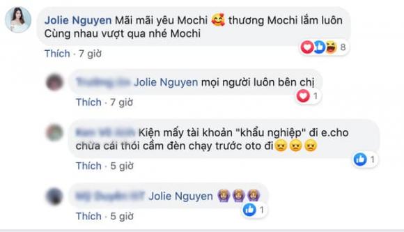 Hoa hậu Jolie Nguyễn, sao Việt