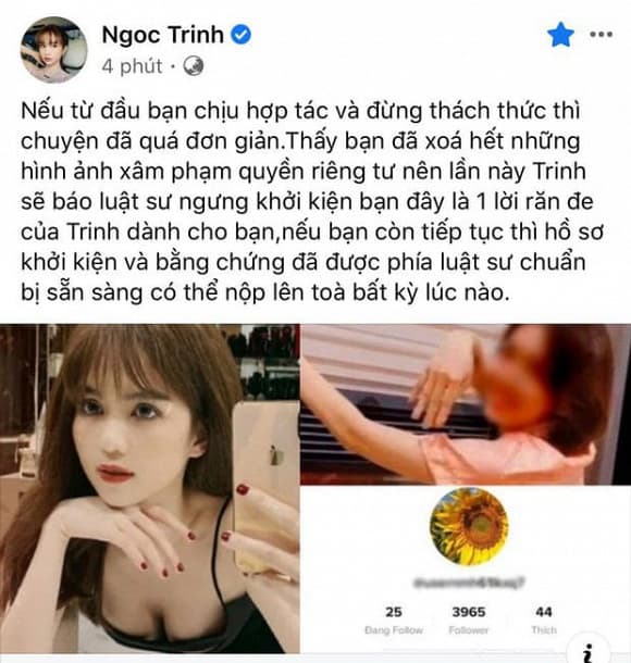 nữ hoàng nội y Ngọc Trinh, sao Việt