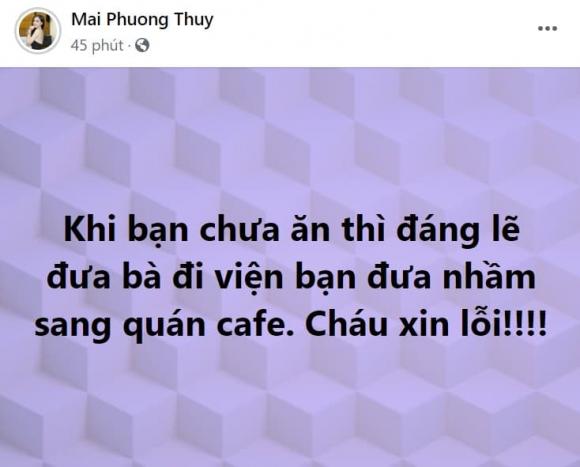 Mai Phương Thúy, Hoa hậu Mai Phương Thúy, sao Việt 