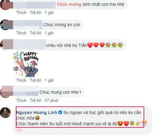 Nguyễn Hoàng Linh, MC Nguyễn Hoàng Linh, con riêng Mạnh Hùng