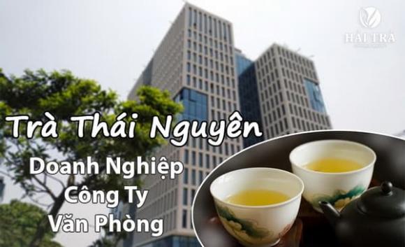 Trà Thái Nguyên, Trà Tân cương, Hải Trà Tân Cương