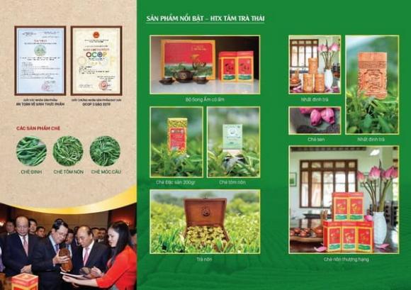 Trà Thái Nguyên, Trà Tân cương, Hải Trà Tân Cương