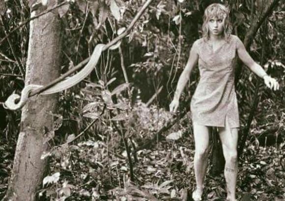 rơi máy bay, Juliane Koepcke, bé gái sống sót sau vụ rơi máy bay