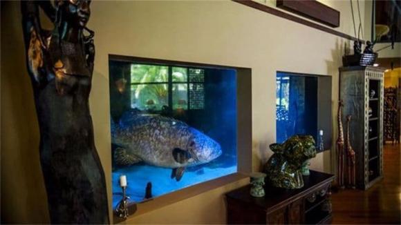 khách sạn, khách sạn độc đáo, chuyện lạ, 