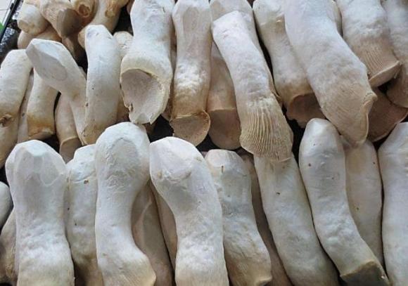 nấm đùi gà, Pleurotus eryngii, nấm bào ngư, mẹo đi chợ, chọn rau củ