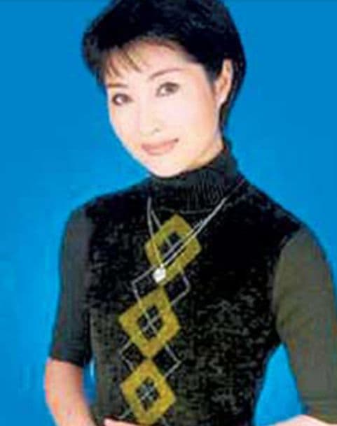 Thẩm Húc Hoa,MC Hoa ngữ