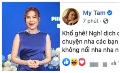 ca sĩ Mỹ Tâm, diễn viên Mai Tài Phến, sao Việt