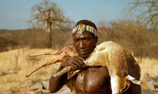 Tại sao người châu Phi không làm nông? Người Hadza đã trả lời một cách đáng ngạc nhiên, kiếm sống bằng cách đi chơi