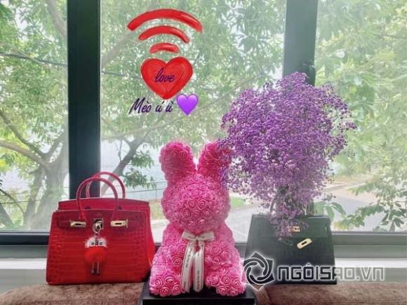 Hoa hậu Hạ My, sao việt, Hoa hậu người Việt thế giới