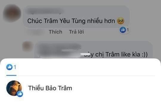 Thiều Bảo Trâm, Sơn Tùng M-TP, sao Việt