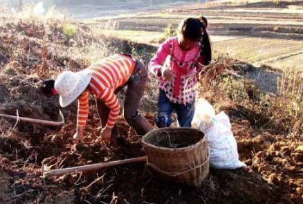 trẻ ở nông thôn, ngày xưa nuôi dạy trẻ, nuôi con, 