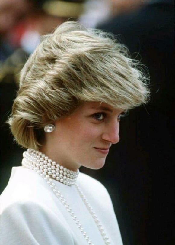 Công nương Diana, Thái tử Charles, Hoàng gia Anh